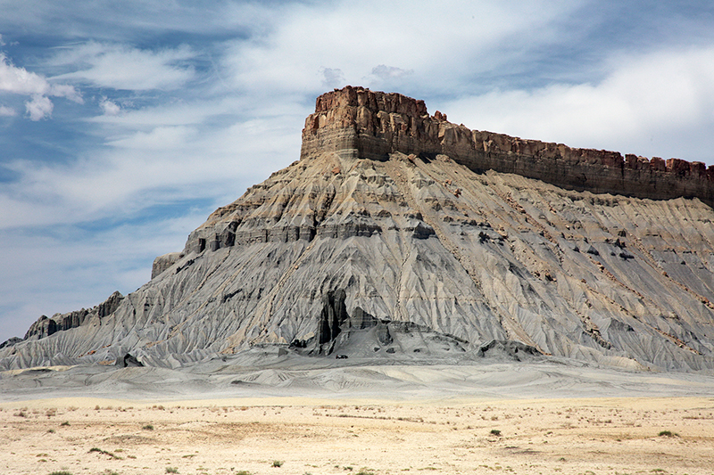 Bison : Antelope Island : Utah : Landscape Photos : Richard Moore : Photographer